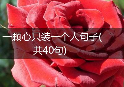 一颗心只装一个人句子(共40句)