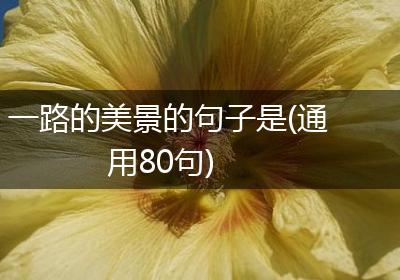 一路的美景的句子是(通用80句)