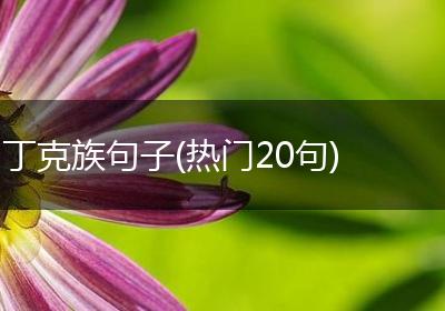 丁克族句子(热门20句)