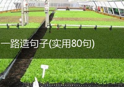 一路造句子(实用80句)