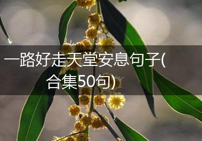 一路好走天堂安息句子(合集50句)
