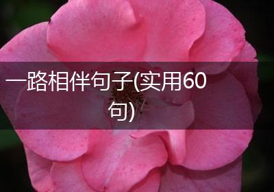 一路相伴句子(实用60句)