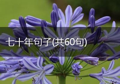 七十年句子(共60句)