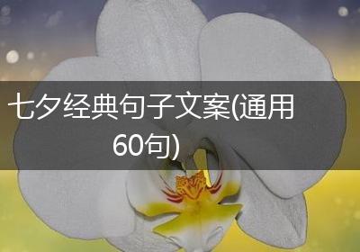 七夕经典句子文案(通用60句)