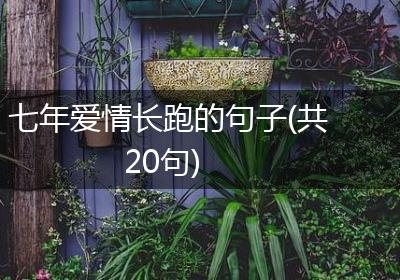 七年爱情长跑的句子(共20句)