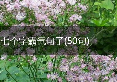 七个字霸气句子(50句)