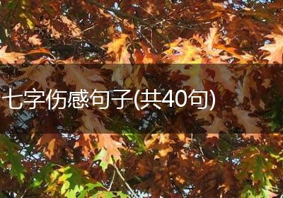 七字伤感句子(共40句)