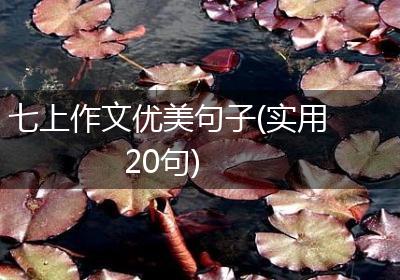 七上作文优美句子(实用20句)