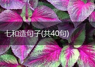 七和造句子(共40句)
