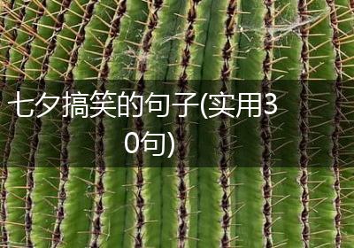 七夕搞笑的句子(实用30句)