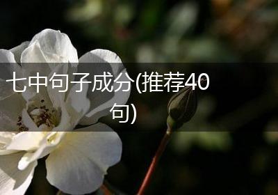 七中句子成分(推荐40句)