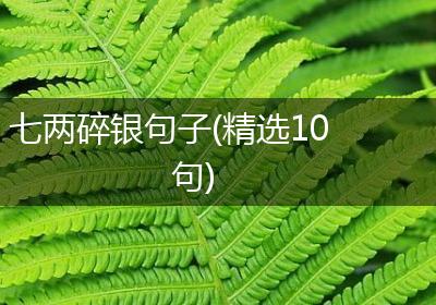 七两碎银句子(精选10句)