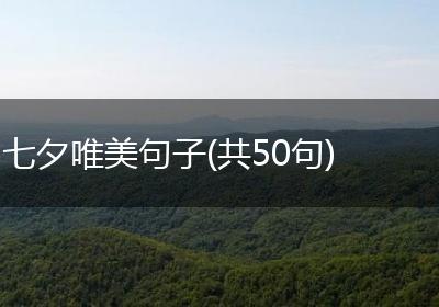 七夕唯美句子(共50句)
