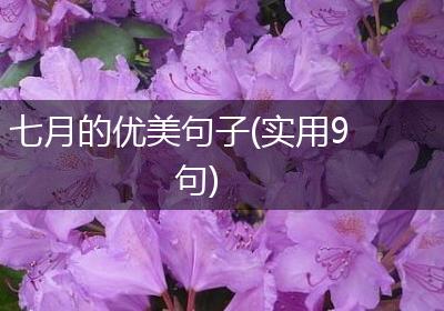 七月的优美句子(实用9句)