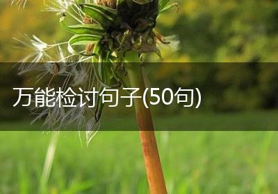 万能检讨句子(50句)