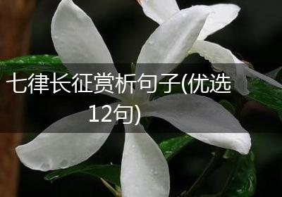 七律长征赏析句子(优选12句)