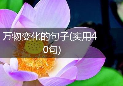 万物变化的句子(实用40句)