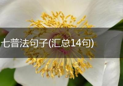 七普法句子(汇总14句)