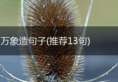 万象造句子(推荐13句)