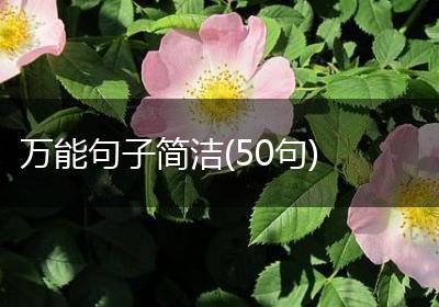 万能句子简洁(50句)