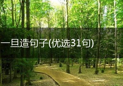 一旦造句子(优选31句)