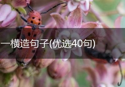 一横造句子(优选40句)