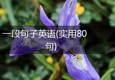 一段句子英语(实用80句)