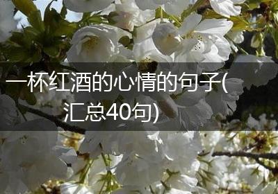 一杯红酒的心情的句子(汇总40句)