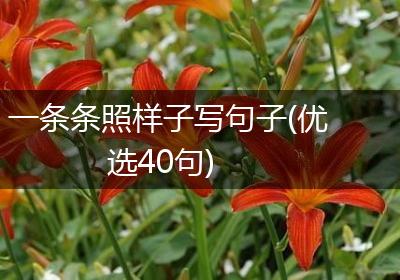 一条条照样子写句子(优选40句)
