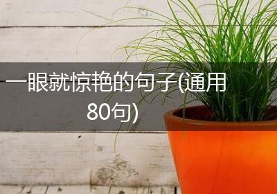 一眼就惊艳的句子(通用80句)