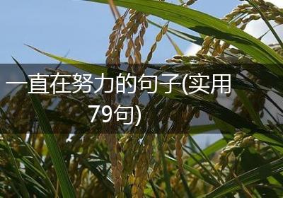 一直在努力的句子(实用79句)
