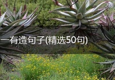 一有造句子(精选50句)