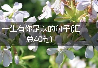 一生有你足以的句子(汇总40句)