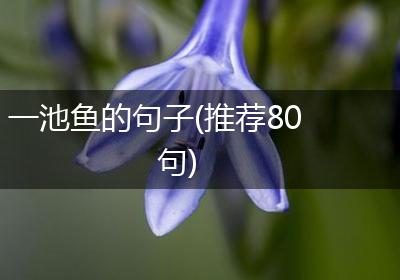 一池鱼的句子(推荐80句)
