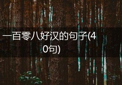 一百零八好汉的句子(40句)