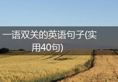 一语双关的英语句子(实用40句)