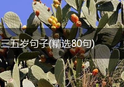 三五岁句子(精选80句)