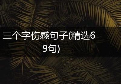 三个字伤感句子(精选69句)