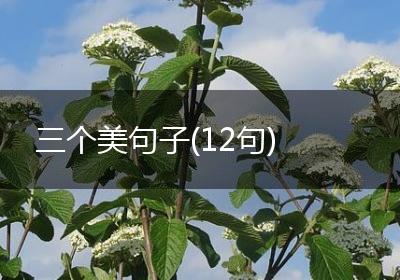 三个美句子(12句)