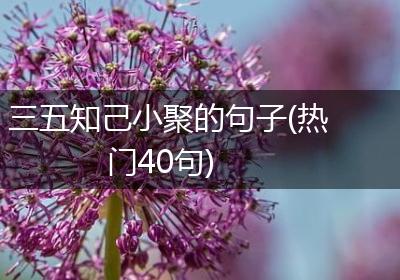 三五知己小聚的句子(热门40句)