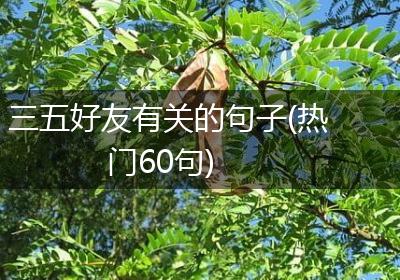 三五好友有关的句子(热门60句)