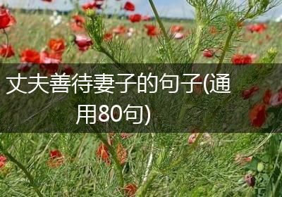 丈夫善待妻子的句子(通用80句)