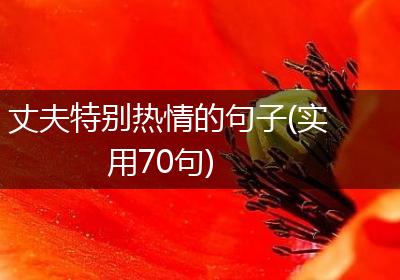 丈夫特别热情的句子(实用70句)