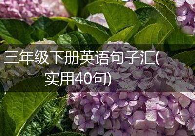 三年级下册英语句子汇(实用40句)