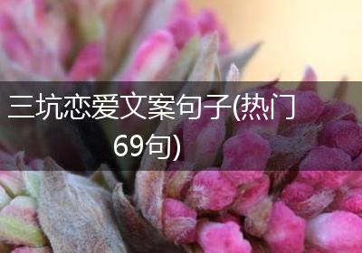 三坑恋爱文案句子(热门69句)
