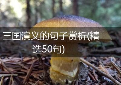 三国演义的句子赏析(精选50句)