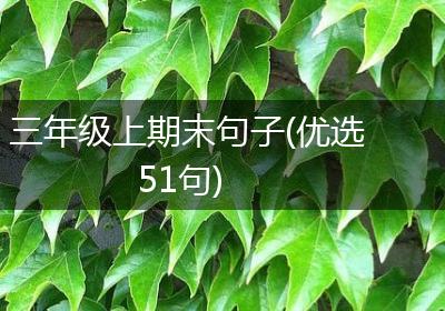三年级上期末句子(优选51句)