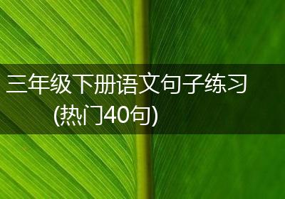三年级下册语文句子练习(热门40句)