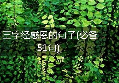 三字经感恩的句子(必备51句)
