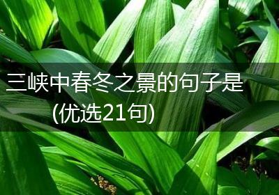 三峡中春冬之景的句子是(优选21句)